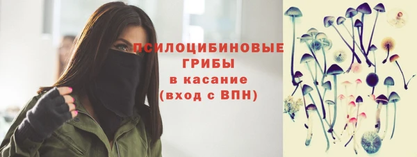 гашик Волоколамск